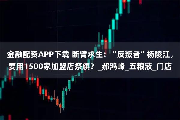 金融配资APP下载 断臂求生：“反叛者”杨陵江，要用1500家加盟店祭旗？_郝鸿峰_五粮液_门店