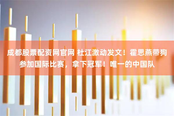 成都股票配资网官网 杜江激动发文！霍思燕带狗参加国际比赛，拿下冠军！唯一的中国队